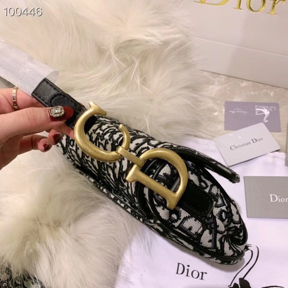 קולקציית תיקים חדשים של דיור DIOR
